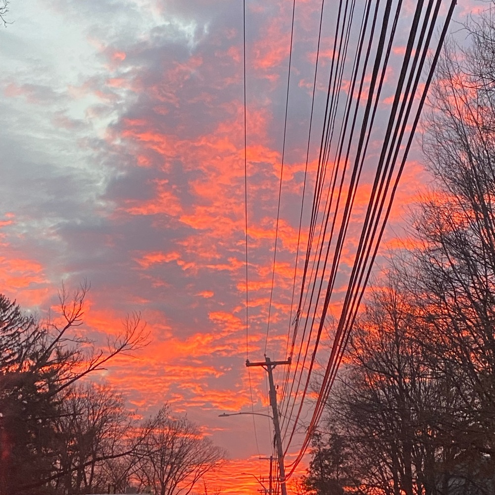 Meet your Posher, Nora